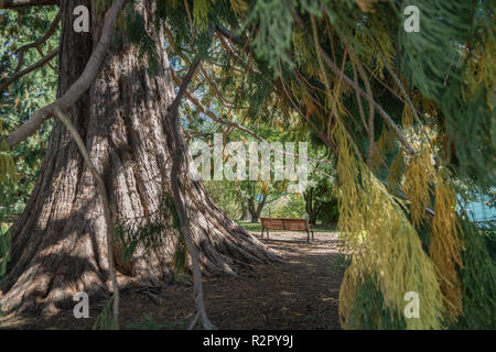 Una panchina nel parco Queenstown Foto Stock