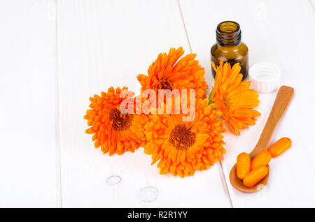 Preparazioni medicinali a base di erbe officinali. Fiori di calendula calendula. Foto Studio Foto Stock