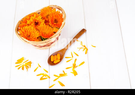 Preparazioni medicinali a base di erbe officinali. Fiori di calendula calendula. Foto Studio Foto Stock