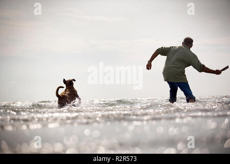 Adulto Uomo gettando un bastone per il suo cane su una spiaggia. Foto Stock