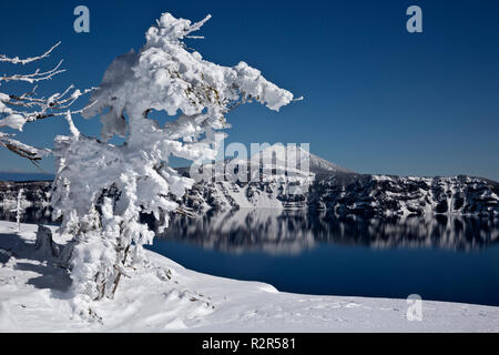 O02437-00...OREGON - neve e ghiaccio struttura intonacata sul bordo del cratere vicino alla giunzione del Nord con una vista del Monte Scott nel Parco nazionale di Crater Lake. Foto Stock