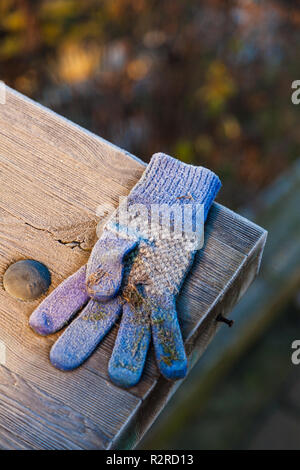 Childs guanto perso su una ringhiera di legno su un gelido mattino, Foto Stock