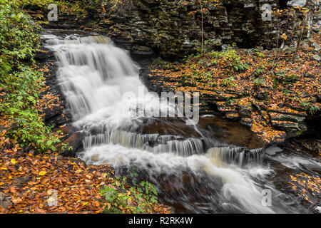 Mohicano Falls, una bella cascata in Ganoga Glen alla Pennsylvania's Ricketts Glen State Park è circondato da colorati caduta delle foglie. Foto Stock