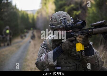 Un British Royal Marine fornisce la sicurezza mentre è in corso la ricerca di un isolato simulato organo di servizio durante un ripristino di tattiche di aeromobili e di personale (TRAP) esercizio,in Rindal, Norvegia, nov. 6, 2018. I Royal Marines, con X-Ray Company, 45 Commando, ha lavorato in collaborazione con il XXIV Marine Expeditionary Unit e di asset da Marine Aircraft Group 29 per esercitare la loro tattica di recupero di aeromobili e di competenza del personale e bilaterali di interoperabilità durante il Tridente frangente 18. L'esercizio migliora gli Stati Uniti e gli alleati della NATO e soci per la capacità di lavorare insieme collettivamente per condurre Foto Stock