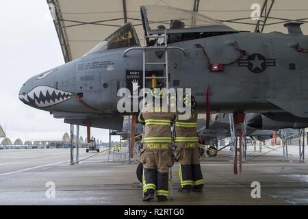 Airman 1. Classe Mackenzie Lewis e Staff Sgt. Tyler McFarland sia 23d' ingegnere civile Squadron vigili del fuoco, fissare una scala durante un-10C Thunderbolt II Esercizio egress, nov. 5, 2018 a Moody Air Force Base, Ga. I cinque giorni di esercizio, che si svolgerà il 6 novembre 5-9, darà il personale di base la possibilità di sperimentare le operazioni di emergenza in una contestata e degradato ambiente di combattimento. Foto Stock