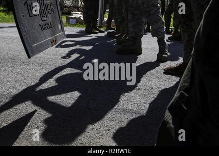 Marines con il combattimento il battaglione della logistica 31 lo scarico a 7 ton carrello dello scanner a superficie piana e offrendo al contempo U.S. Federal Emergency Management Agency-fornito rifugi di emergenza per i residenti di Tinian, Repubblica della Mariana Islands settentrionale, nov. 7, 2018. Marines e marinai con il trentunesimo Marine Expeditionary Unit e CLB-31 stanno aiutando gli enti locali e le autorità civili su Tinian per offrire FEMA rifugi per le famiglie colpite dal tifone Super Yutu, che ha colpito qui ott. 25 come la seconda più forte tempesta per sempre colpito suolo americano. Marines e marinai con il trentunesimo MEU e CLB-31 è arrivato su Tinian Ott. 29-31 al piombo Foto Stock