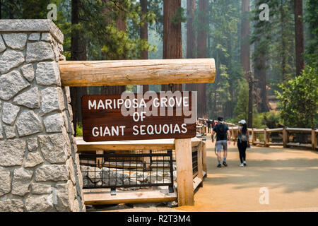 Ingresso del recentemente riaperto Mariposa Grove di sequoie giganti, del Parco Nazionale Yosemite in California Foto Stock