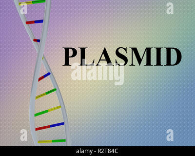 3D illustrazione di script del plasmide con il DNA a doppia elica , isolate su pattern colorato. Foto Stock