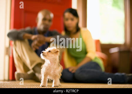 Paio di divertirsi con il loro cane. Foto Stock