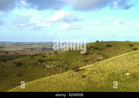 Una vista sulle colline di Barton nella Riserva Naturale del Bedfordshire Foto Stock