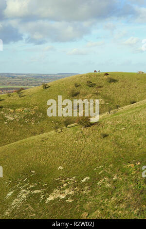 Una vista sulle colline di Barton nella Riserva Naturale del Bedfordshire Foto Stock