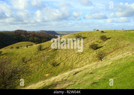 Una vista sulle colline di Barton nella Riserva Naturale del Bedfordshire Foto Stock