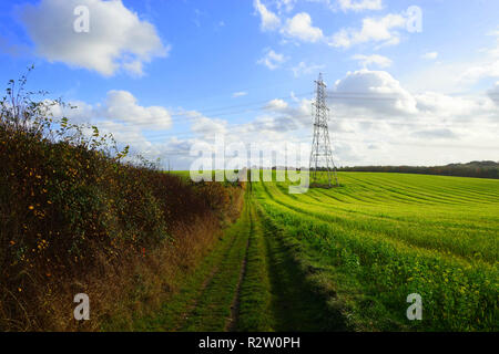 Una linea di alimentazione a sud di Barton Hills , Bedfordshire Foto Stock