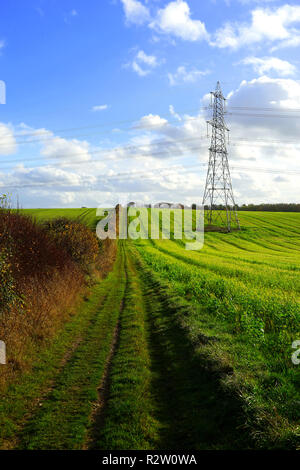 Una linea di alimentazione a sud di Barton Hills , Bedfordshire Foto Stock