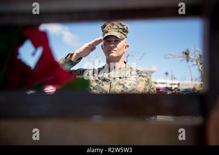 TINIAN, Repubblica della Mariana Islands settentrionale (nov. 12, 2018) Col. Robert Brodie, Comandante del trentunesimo Marine Expeditionary Unit, rende onore a un memoriale per i veterani deceduto durante un giorno di veterani cerimonia al Veterans Memorial Park. I membri del servizio dalla regione di giunzione e Marianne U.S. Comando Indo-pacifico stanno fornendo il Dipartimento della Difesa sostegno alla Repubblica della Mariana Islands settentrionale' civile e funzionari locali come parte della Federal Emergency Management Agency-supportato Super Typhoon Yutu gli sforzi di recupero. Foto Stock