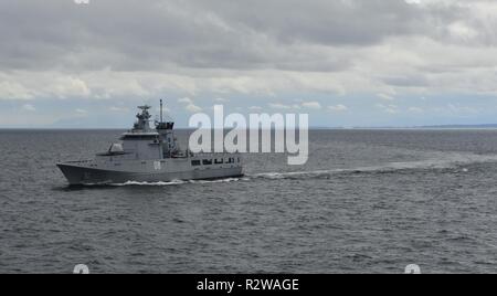 Sul mare del sud della Cina (nov. 15, 2018) - La Royal Navy di Brunei Darussalam-class offshore nave pattuglia KDB Darulaman (OPV 08) cuoce a vapore durante la fase di mare della cooperazione a galla la prontezza e la formazione (Carati) Brunei 2018. CARAT Brunei 2018 segna il ventiquattresimo iterazione dell'esercizio marittimo serie e riflette il crescente rapporto tra gli Stati Uniti e la Royal Navy Brunei per espandere ulteriormente bilaterali e multilaterali di esercizi di cooperazione per garantire la sicurezza marittima, la stabilità e la prosperità. Foto Stock