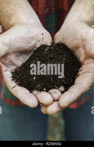 Mans mani compost Foto Stock