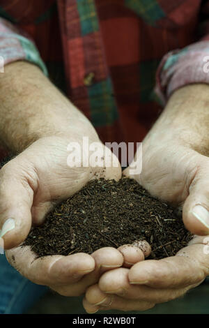 Mans mani compost Foto Stock