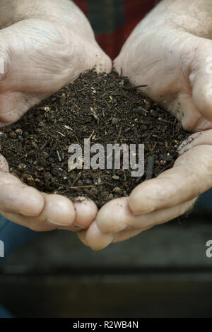 Mans mani compost Foto Stock