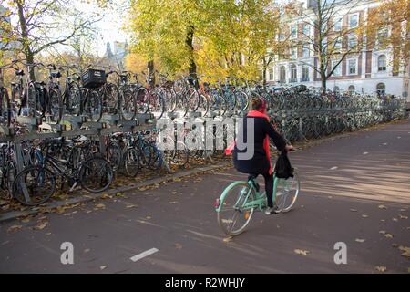 Il parcheggio per le bici garage Stazione Centrale di Utrecht. Foto Stock