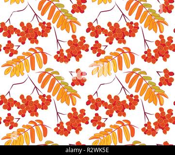Vettore di Seamless pattern con rowan foglie e bacche, sfondo trasparente Illustrazione Vettoriale