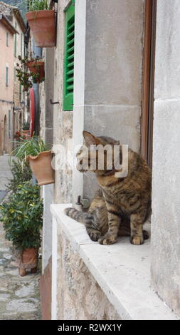 Valdemossa città in Serra de Tramontana, Mallorca, Spagna Foto Stock