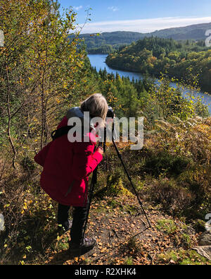 Fotografo femmina impostazione della fotocamera su treppiede per scattare una fotografia di paesaggio scozzese, Trossachs, Scotland Regno Unito Foto Stock