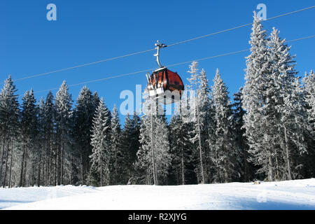 Jasna, Slovacchia - 25 Gennaio 2017: cabina di funivia su uno sfondo di coperte di neve abeti su una soleggiata giornata sulle piste di Jasna ski resort, Foto Stock