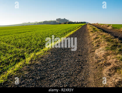 Incompiuta rovinato Barnes Castello con vista su campo per Garleton ridge sulla giornata di sole, East Lothian, Scozia, Regno Unito Foto Stock