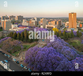 Harare, il capitalo dello Zimbabwe, visto nella stagione di Jacaranda Foto Stock