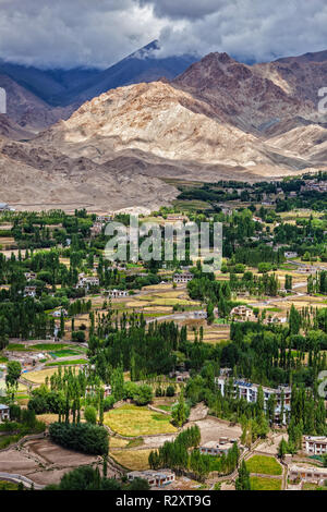 Leh city in Himalaya, Ladakh, India Foto Stock