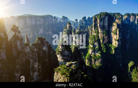 Montagne di Zhangjiajie, Cina Foto Stock