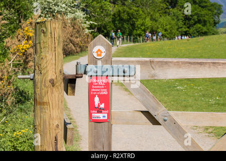 Lake District Regno Unito pecore preoccupante è un reato firmare Tenere cani su un segno di piombo da Derwent Water Parco Nazionale del Distretto dei Laghi Cumbria Inghilterra UK GB Europa Foto Stock