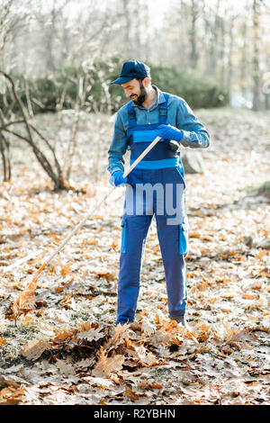 Professional spazzatrice maschio in uniforme blu a rastrellare foglie in giardino durante il periodo autunnale Foto Stock