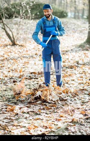 Professional spazzatrice maschio in uniforme blu a rastrellare foglie in giardino durante il periodo autunnale Foto Stock