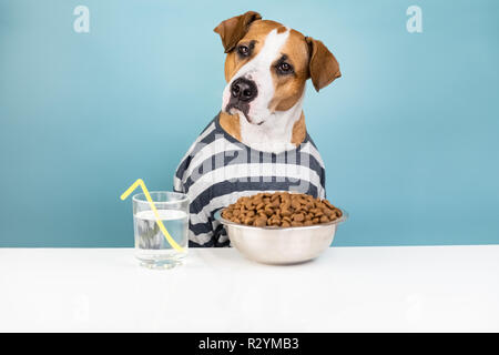 Divertente cane in pigiama con la colazione a tavola. Concetto illustrativi del cucciolo con coppa di alimenti per animali da compagnia in bianco minimalista e sfondo blu Foto Stock