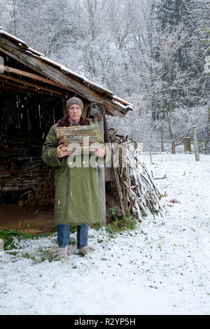 Uomo che porta legna da ardere attraverso la caduta di neve in giardino per uso come combustibile in un bruciatore di legno Zala county Ungheria Foto Stock