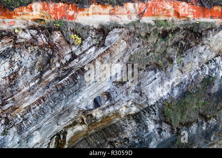 Una roccia verticale scogliera sormontata con un burst di colore come suolo sabbioso weathers e ruggini. Foto Stock