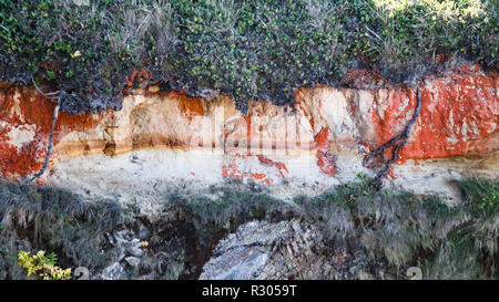 Una roccia verticale scogliera sormontata con un burst di colore come suolo sabbioso weathers e ruggini. Foto Stock