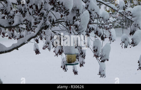 Nevicata fresca sul terreno in Calgary Foto Stock