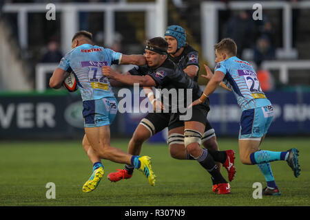 NEWCASTLE UPON TYNE. 28 ottobre 2018 Callum pulcino di Newcastle Falcons tenta di appendere al Sam Hill durante il Premiership Cup match tra Newcastle Falcons e Exeter Chiefs a Kingston Park, Newcastle upon Tyne domenica 28 ottobre 2018. ©MI News & Sport Ltd | Alamy Live News Foto Stock