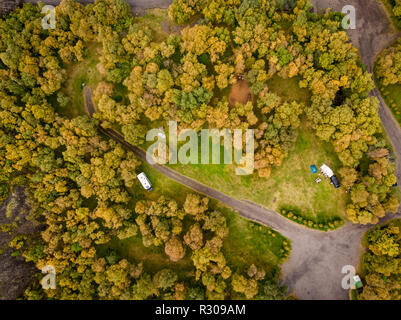 Il Hallormsstadur foresta,'Islanda Orientale. Questa immagine viene girato utilizzando un drone. Foto Stock