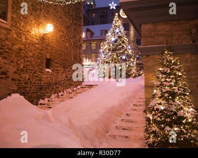 Place Royale albero di Natale di notte con la neve sulla terra dopo una tempesta di neve Foto Stock