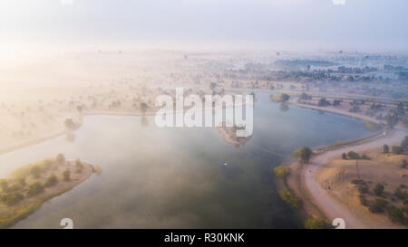 Al Qudra lago a Dubai Foto Stock