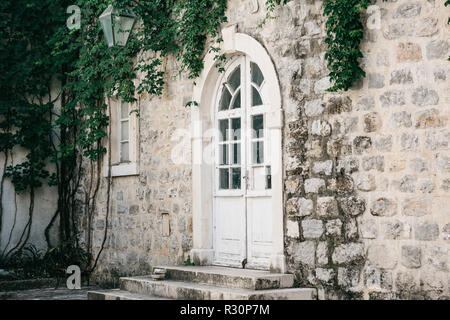 Porta o di entrata di una casa residenziale decorata con piante. Foto Stock