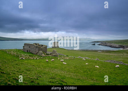 La Haa, laird's house e Mousa Broch, la più alta età del ferro broch e quella dell'Europa preistorici meglio conservati edifici, isole Shetland, Scozia Foto Stock