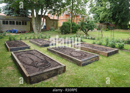 Pianificazione e costruzione di letti in rilievo per un orto all interno di un grande giardino inglese Foto Stock