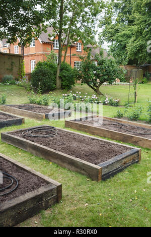 Sollevate i letti prima di piantare in un orto entro una formale giardino inglese Foto Stock