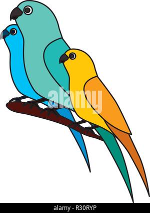 Isole Canarie e pappagalli uccelli sul ramo illustrazione vettoriale Illustrazione Vettoriale