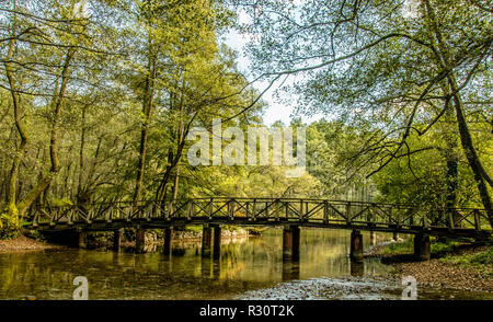 Ponte di legno Foto Stock